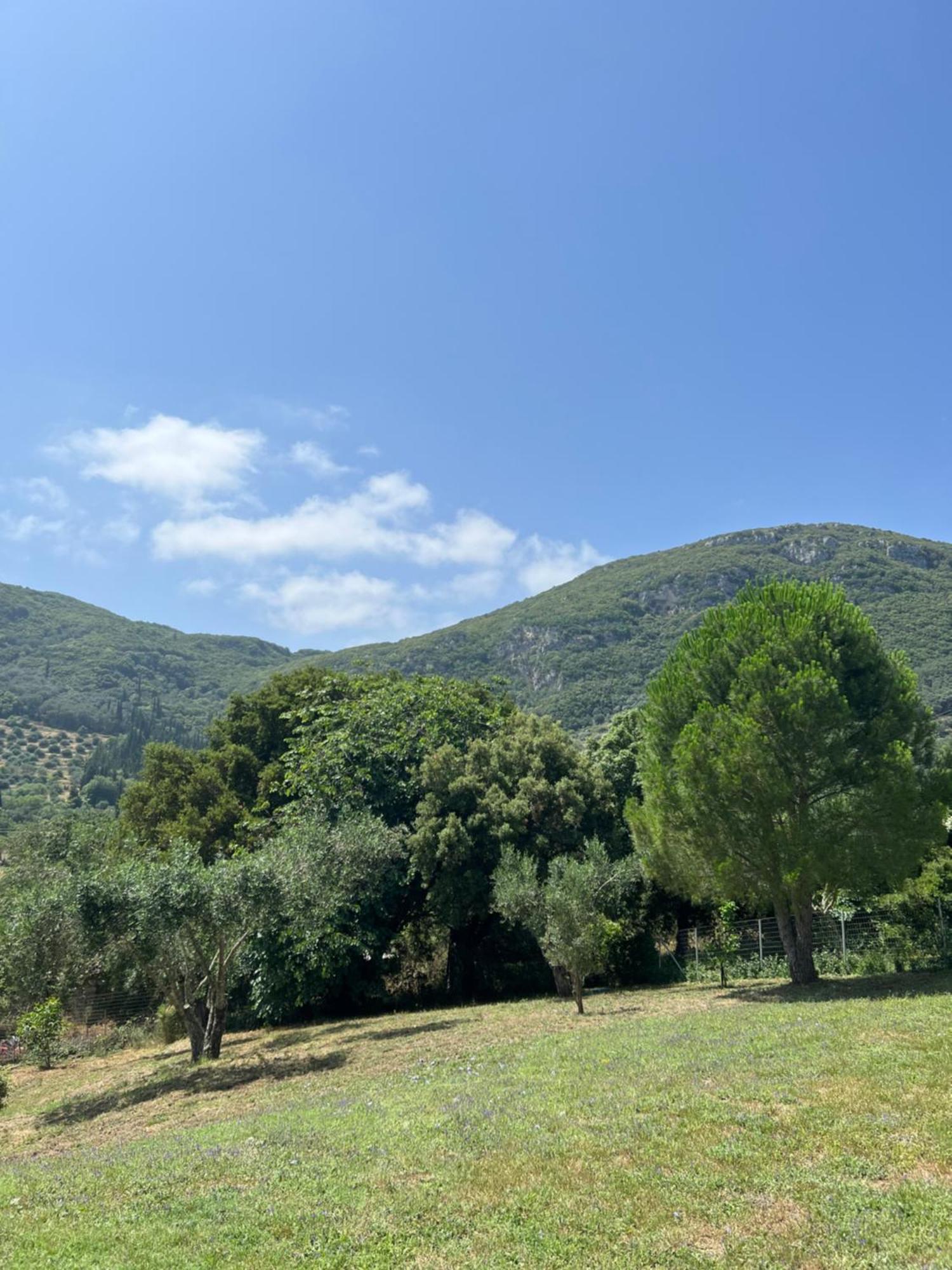 Villa Alexakis Doukades ภายนอก รูปภาพ