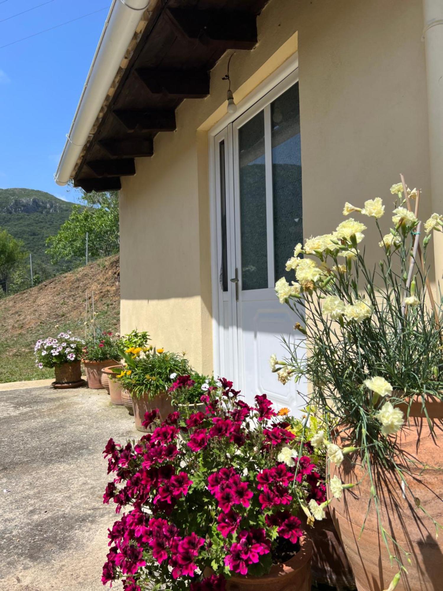 Villa Alexakis Doukades ภายนอก รูปภาพ